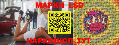 индика Кимры