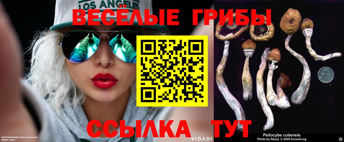 Галлюциногенные грибы мухоморы Балашов