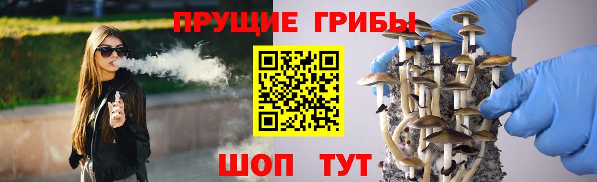 Псилоцибиновые грибы Psilocybine cubensis  Вход с VPN  Балашов 